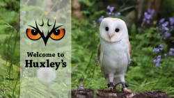 Huxleys Birds of Prey Centre