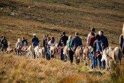 Cairngorm Reindeer Centre