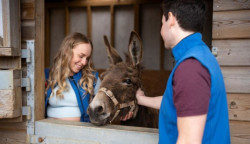 Isle of Wight Donkey Sanctuary