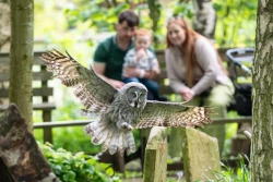 Hawk Conservancy Trust