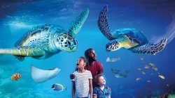 SEA LIFE Manchester