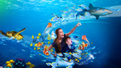 Sea Life Blackpool
