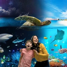 Weymouth SEA LIFE Adventure Park
