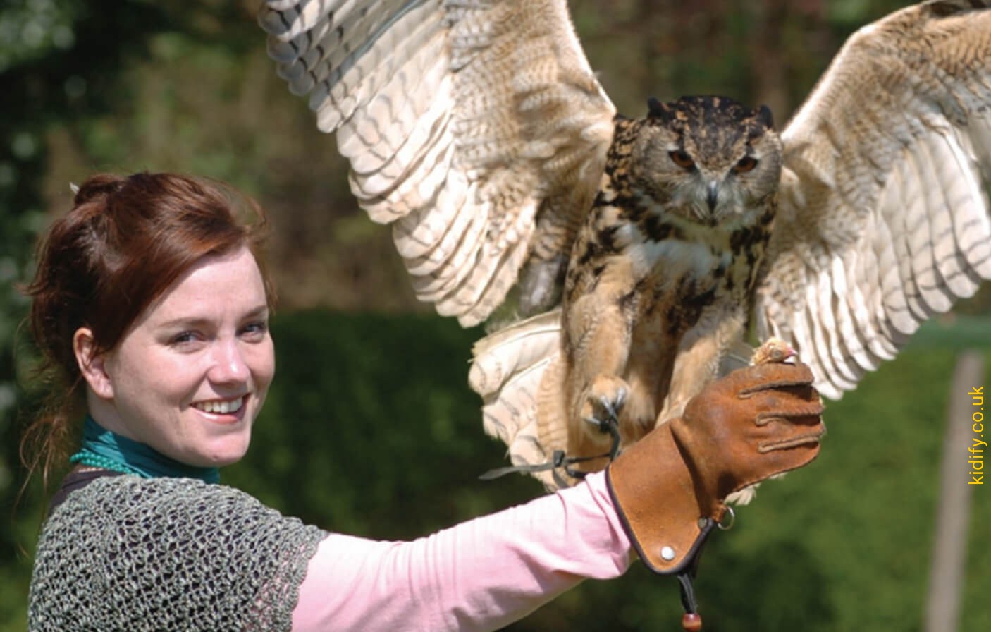 Visitor Information - Thirsk Birds of Prey Centre Thirsk Birds of Prey  Centre