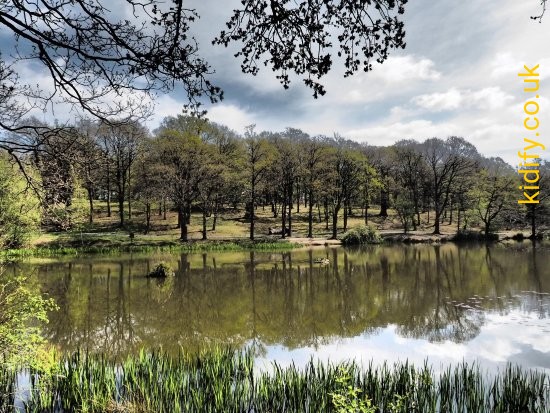 Thorndon Country Park | kidify.co.uk