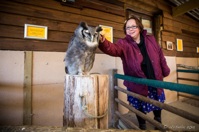 Small Breeds Farm Park & Owl Centre