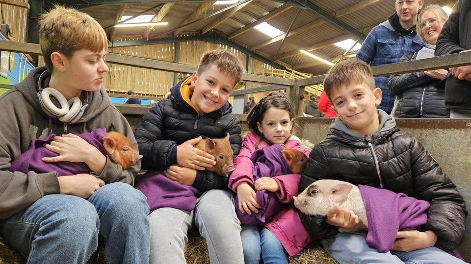 Monk Farm Monk Park Farm Visitor Centre | kidify.co.uk